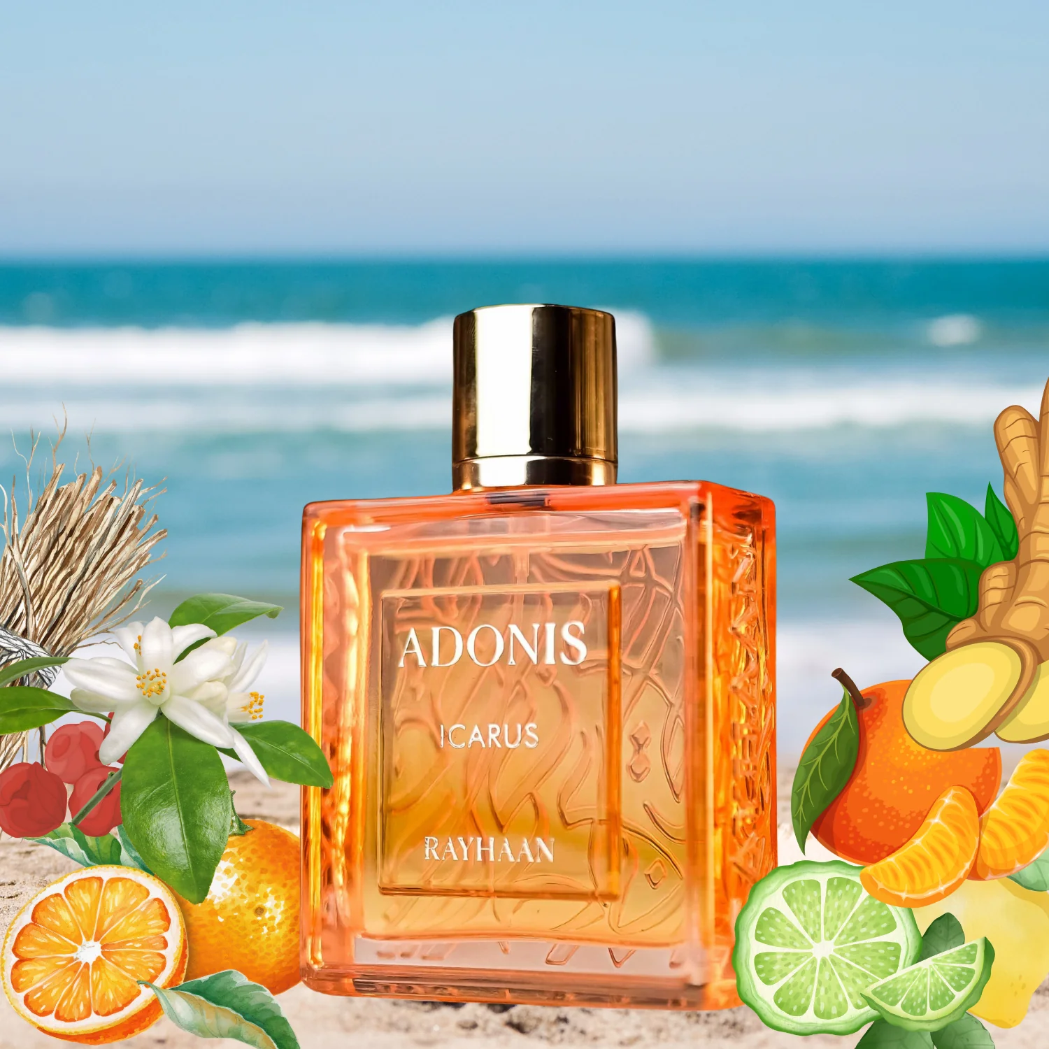 Adonis Icarus RAYHAAN - Muestra 10 ml
