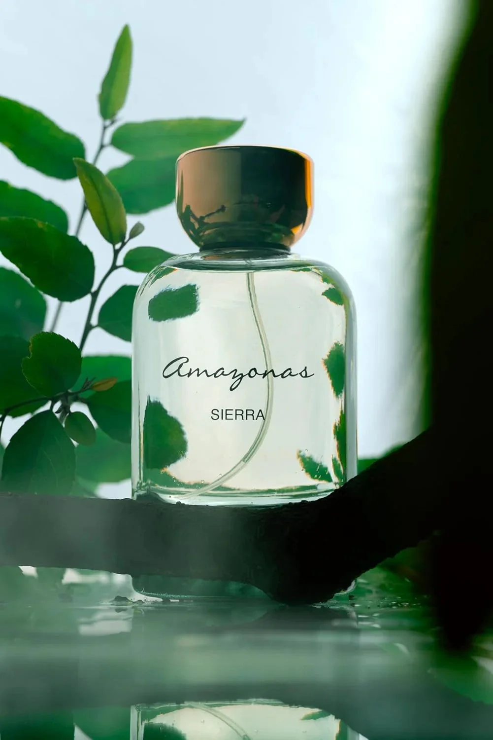 Amazonas Sierra Atralia 100ml - Image 3