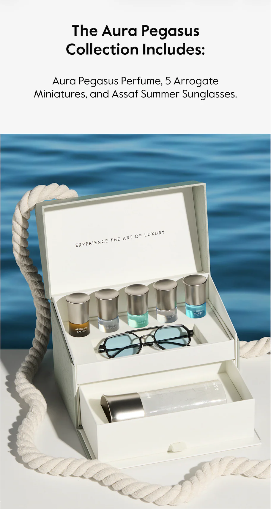 Aura Pegasus Set + Gafas de Sol ASSAF - Image 3
