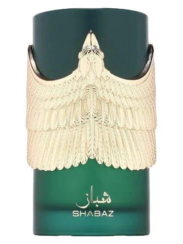 Shabaz ATHOOR AL ALAM - Image 3