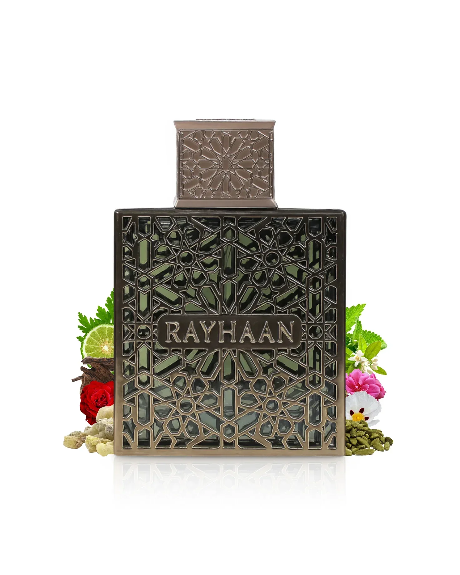 Terra RAYHAAN