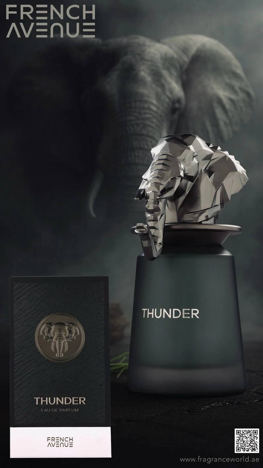 Thunder FRENCH AVENUE - Image 2
